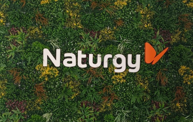 Mural Naturgy en Sertiver Energía